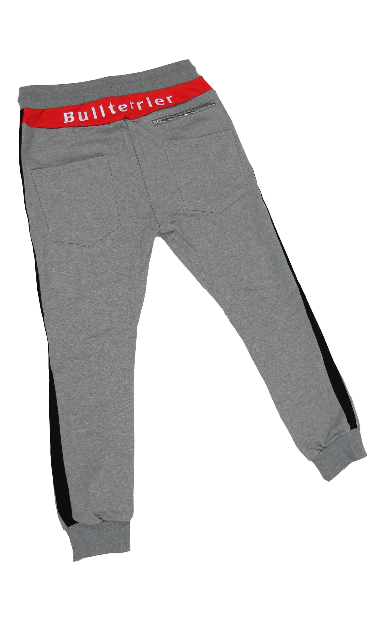 GRAY PANTS BULLTERRIER
